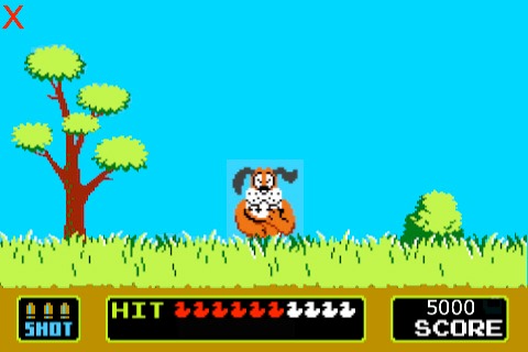 Duck Hunt