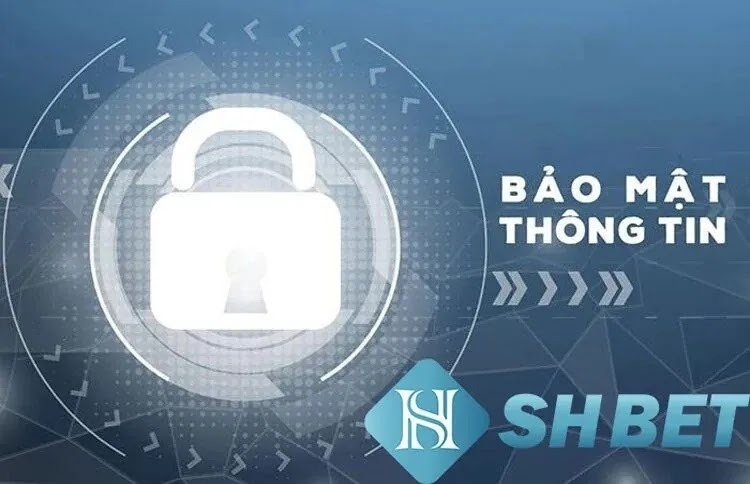 Shbet - Nhà Cái Giải Trí Ưu Đãi Siêu Khủng, Tỷ Lệ Trúng Lớn 100%