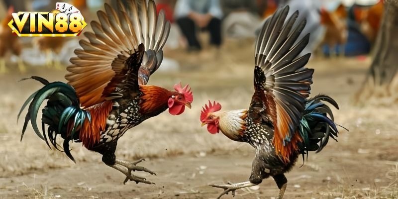 Khám Phá 3 Trò Chơi Được Yêu Thích Tại Nhà Cái Vin88 - Cơ Hội Thắng Lớn Đang Chờ Bạn!